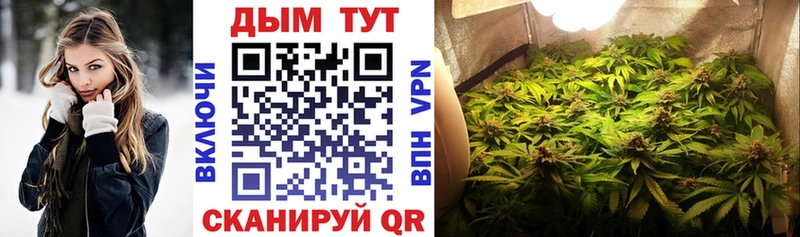 это клад  Алейск  Конопля сатива 